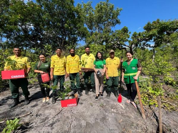 Áreas atingidas por queimadas recebem ação de recuperação na zona rural de Floriano.(Imagem:Secom)