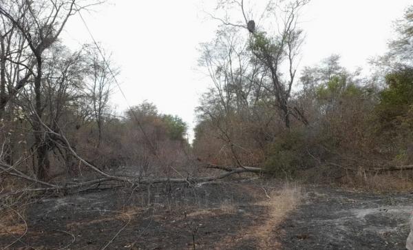 Queimadas atingem rede elétrica no interior do Piauí.(Imagem:Reprodução/Equatorial Piauí)