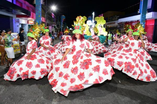 Desfile das Escolas de Samba encanta p&uacute;blico na Avenida Get&uacute;lio Vargas.(Imagem:Secom)