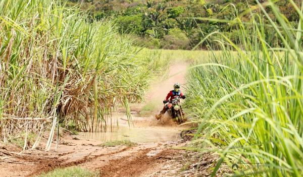 Piauí Rally Cup estreia novo formato de velocidade e agrada competidores em prova bastante técnica(Imagem:Azimute Fotos)