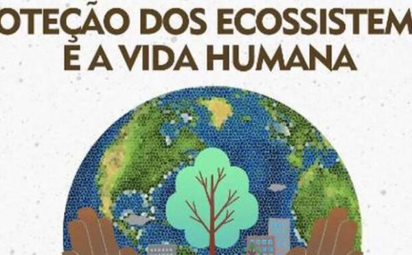 Escolas podem inscrever projetos de Educação Ambiental no VII Semeares(Imagem:Divulgação)