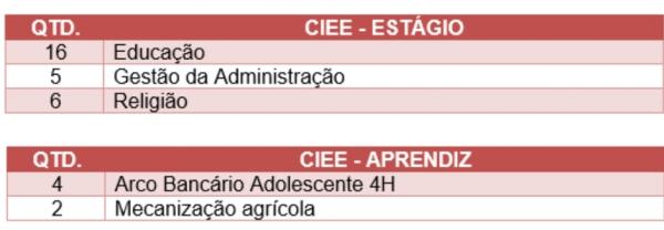 Para se candidatar a uma dessas vagas de estágio ou Jovem Aprendiz do CIEE o estudante pode acessar o portal do CIEE.(Imagem:Divulgação )