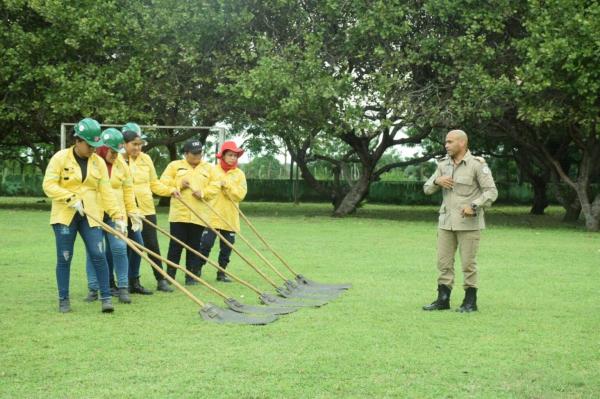 Do total formado esse ano, 1.114 s&atilde;o homens e 219 mulheres, refor&ccedil;ando a amplia&ccedil;&atilde;o do acesso, da diversidade e da qualifica&ccedil;&atilde;o t&eacute;cnica das brigadas.(Imagem:Divulga&ccedil;&atilde;o)