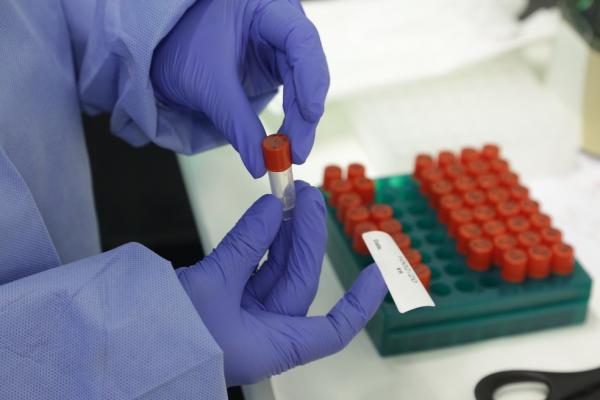 Exames para Covid-19 no Laboratório de Vírus Respiratórios e do Sarampo do Instituto Oswaldo Cruz.(Imagem:Josué Damacena/IOC/Fiocruz)