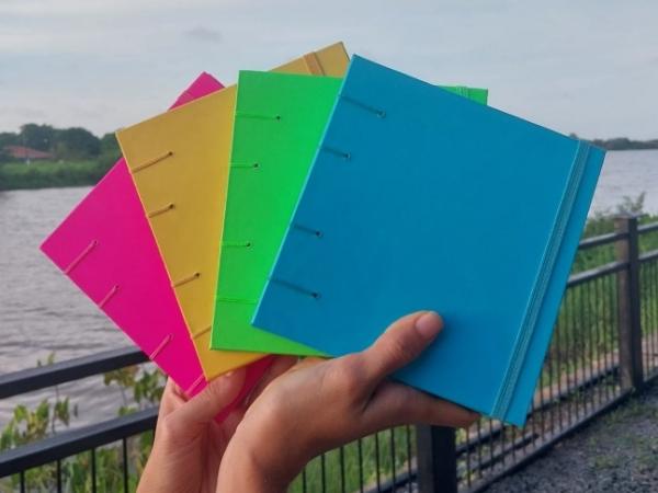 Coleção de cadernos para o Carnaval.(Imagem: Reprodução/Instagram)