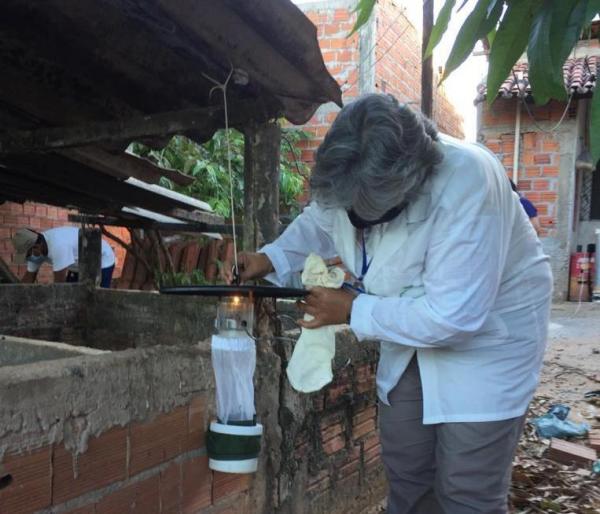 Teresina registra 2ª caso de Febre do Nilo Ocidental e FMS faz investigação(Imagem:Reprodução)