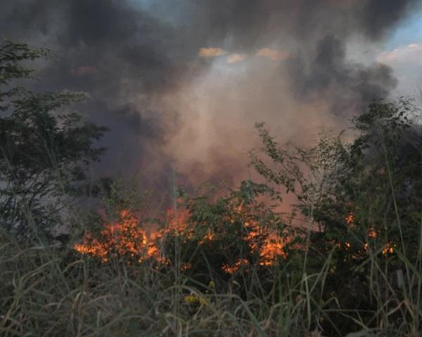 Piauí é o quinto estado brasileiro com o maior número de focos de queimada em 2023(Imagem:Arquivo O Dia)