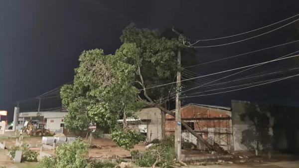 Ap&oacute;s chuva, &aacute;rvores caem sobre rede el&eacute;trica e provocam falhas de energia em Teresina.(Imagem:Divulga&ccedil;&atilde;o/Equatorial Piau&iacute;)