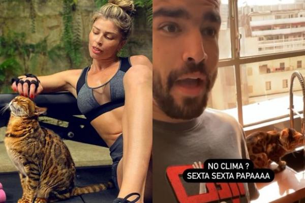 Caio Castro e Grazi Massafera empolgam fãs ao posarem com gato semelhante(Imagem:Reprodução)