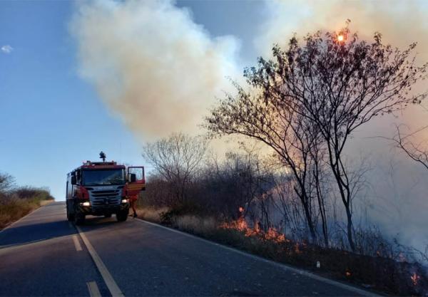 Número de incêndios cresce 41% no Piauí; Estado já registrou mais de 700 focos.(Imagem:Reprodução / Corpo de Bombeiros do Piauí)