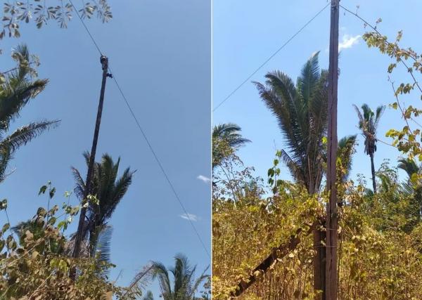 Rede elétrica no interior do Piauí tem postes de madeira unidos por arame.(Imagem:Arquivo Pessoal)