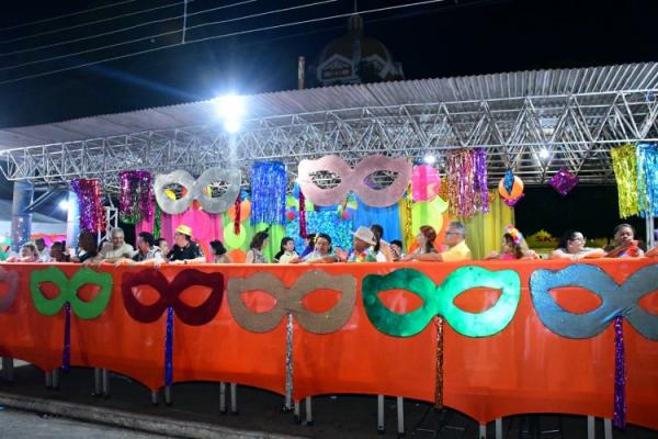 Desfile das Escolas de Samba encanta p&uacute;blico na Avenida Get&uacute;lio Vargas.(Imagem:Secom)