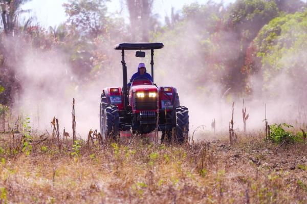 Investimento de R$ 22 milhões em máquinas agrícolas muda realidade de agricultores familiares do PI(Imagem:Divulgação)