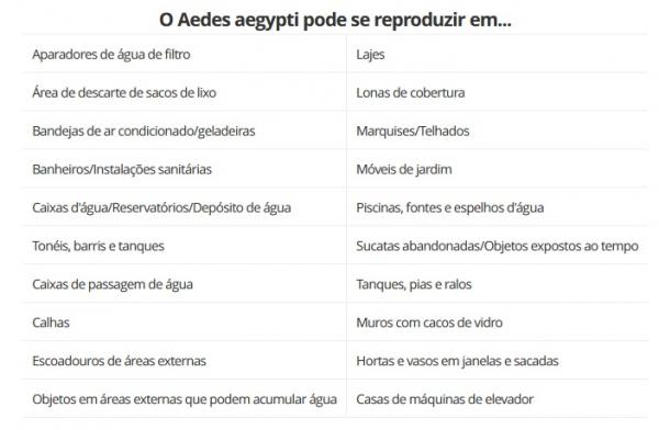 Aedes aegypti(Imagem:Fundação Municipal da Saúde)