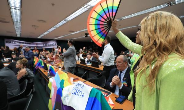 MPF pede arquivamento de projeto que proíbe casamento homoafetivo.(Imagem:Lula Marques/ Agência Brasil)