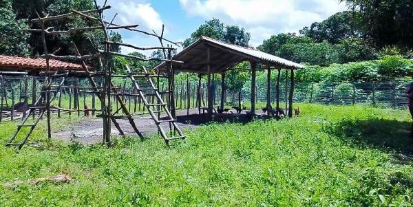 Programa Fomento Rural gera renda para mais de duas mil famílias vulneráveis e impulsiona produtividade no Piauí(Imagem:Tavynho Neto)