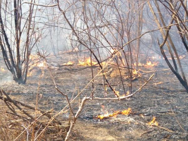 Incêndio de grandes proporções dura 22 dias e ameaça casas no Norte do Piauí(Imagem:Divulgação)