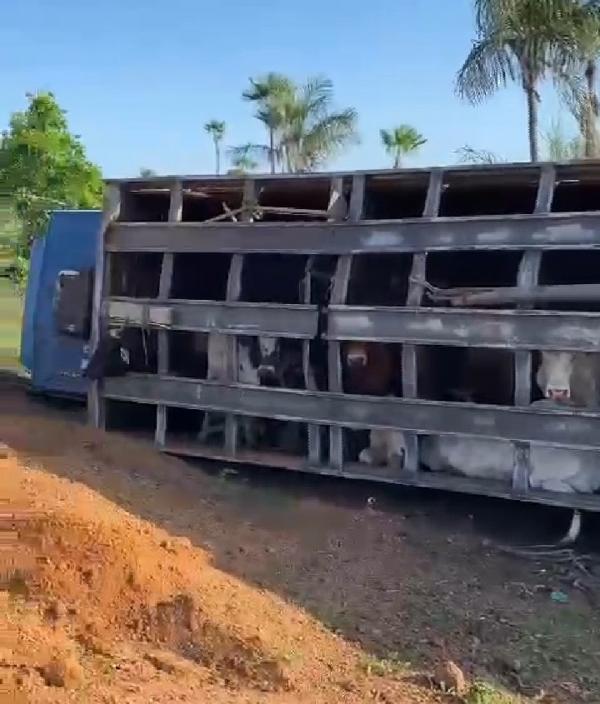 Já o passageiro, apesar dos ferimentos leves, foi encaminhado ao Hospital de Campo Maior para receber atendimento.  O trecho onde o acidente ocorreu é conhecido por ter uma curva m(Imagem:Reprodução)