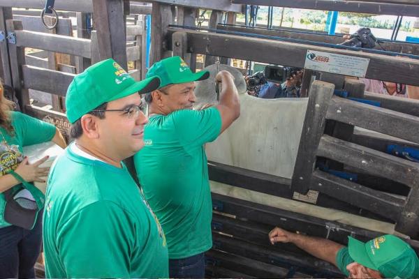 Piauí inicia segunda etapa da Campanha de Vacinação Contra Febre Aftosa.(Imagem:Divulgação)