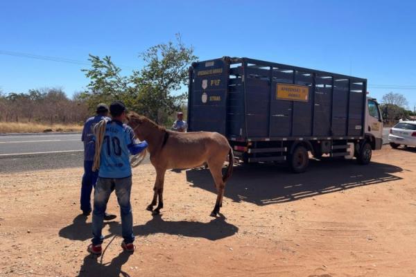 Saúde e PRF realizam ação de segurança nas rodovias de Floriano.(Imagem:Secom)