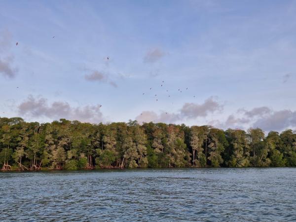 Delta do Rio Parna&iacute;ba registra crescimento de 23,6% na visita&ccedil;&atilde;o tur&iacute;stica em janeiro deste ano(Imagem:Gilza Beatriz Aires)
