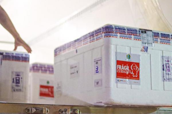Lote com mais de 60 mil doses para complementação da vacinação chega ao Piauí.(Imagem:Divulgação/Sesapi)