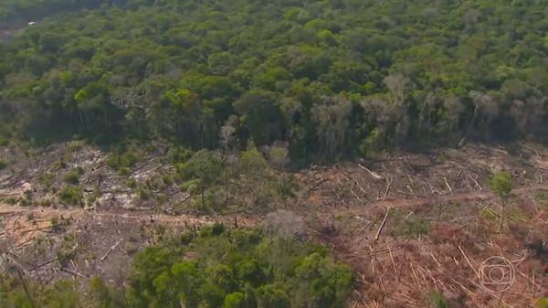 Alertas de desmatamento batem recorde no Cerrado(Imagem:Jornal Nacional/ Reprodução)