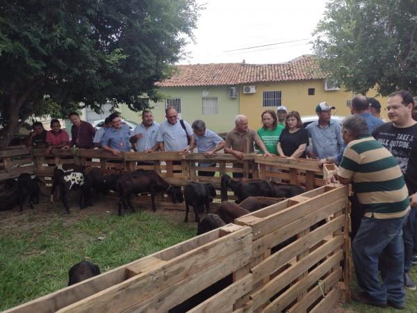 Prefeitura de Floriano entrega reprodutores de ovinos para criadores locais(Imagem:FlorianoNews)