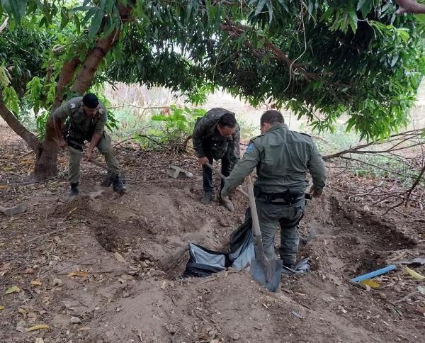  PM encontra centenas de tabletes de maconha enterrados em sítio no Piauí e prende um homem.(Imagem:Divulgação /PM-PI )