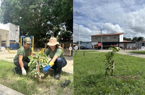Prefeitura realiza plantio de &aacute;rvores em pra&ccedil;as e espa&ccedil;os p&uacute;blicos de Floriano(Imagem:Reprodu&ccedil;&atilde;o/Instagram)