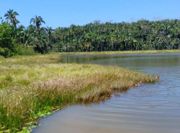 Adolescente morre afogado em lagoa no Piauí.(Imagem:Divulgação/PM-PI)