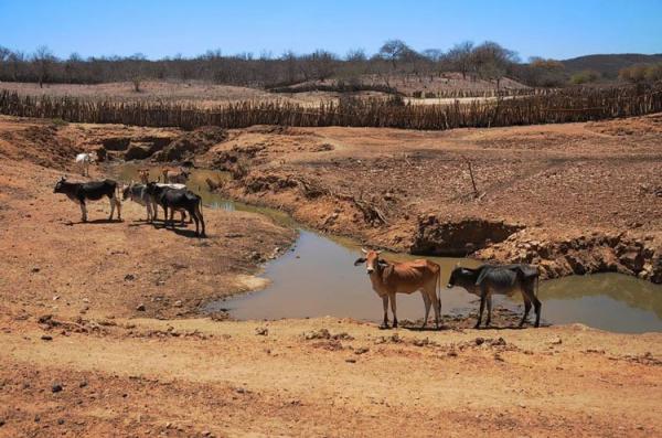 Seca traz diversos impactos aos municípios piauienses, afirma IBGE(Imagem:Divulgação)