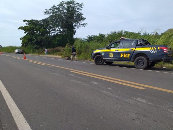 Motociclista morre ao colidir com caminhão na BR-230 em Oeiras(Imagem:Aparecida Santana)