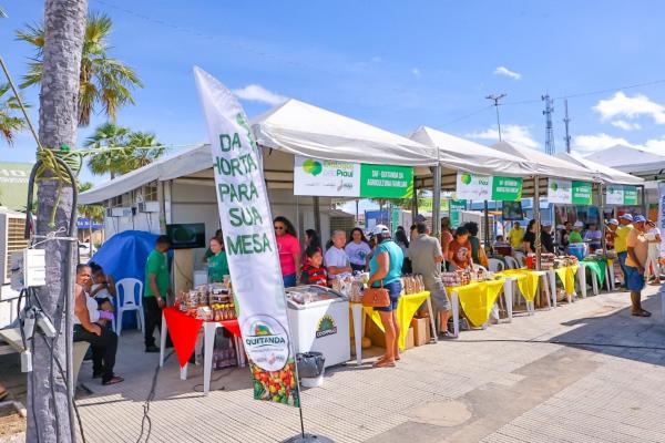 Governo tem investido na produção da agricultura familiar no Piauí.(Imagem:Geirlys Silva / SAF)