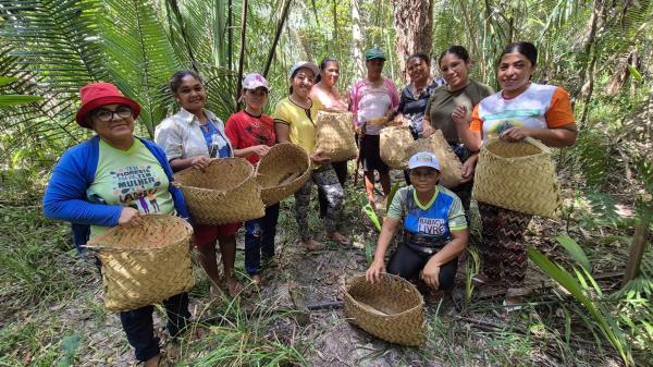 No Piauí, quebradeiras vão criar primeira fábrica de sabonetes artesanais feitos com óleo de coco babaçu(Imagem:Divulgação)
