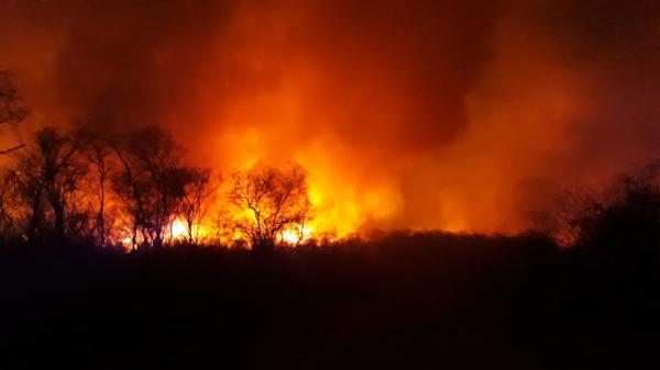 Incêndio atinge região de mata em Jurema, no Sul do Piauí(Imagem:Divulgação)