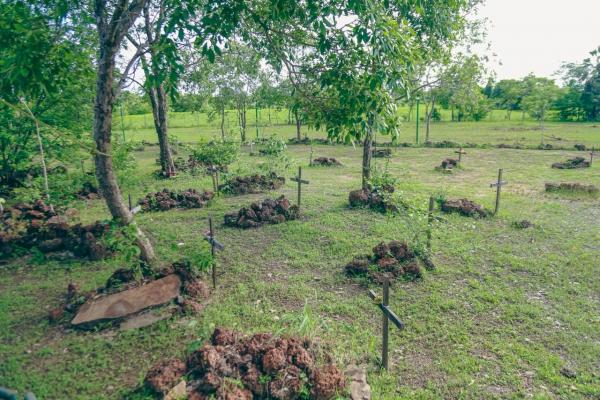 Museu do Jenipapo &eacute; aberto a visita&ccedil;&atilde;o em Campo Maior e contribui para a preserva&ccedil;&atilde;o da mem&oacute;ria hist&oacute;rica do estado(Imagem:Jo&atilde;o Allbert)