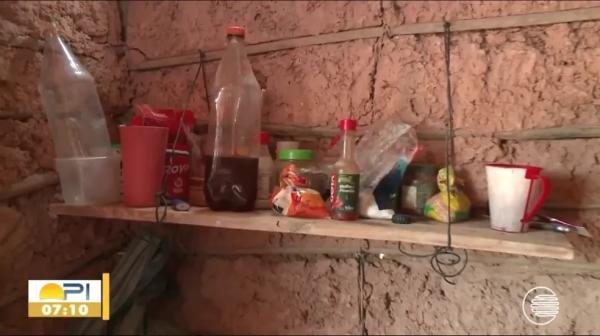  Desempregada planta para poder comer em Teresina: 