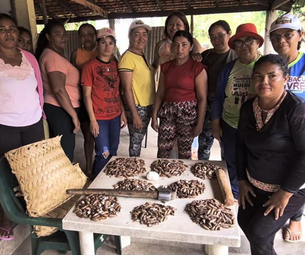 A Associação das Quebradeiras de Coco de Miguel Alves foi selecionada para receber o apoio da Fundação Banco do Brasil.(Imagem:Divulgação)