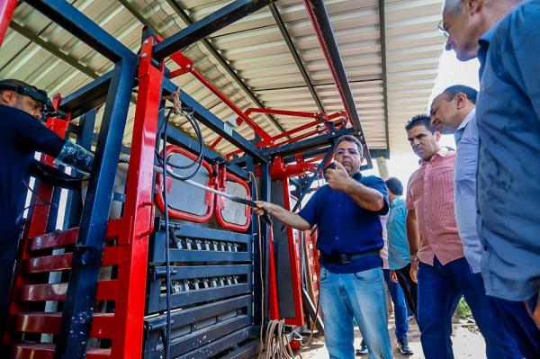 Melhoramento genético do rebanho bovino já beneficia produtores em 103 cidades do estado(Imagem:Tavynho Neto)