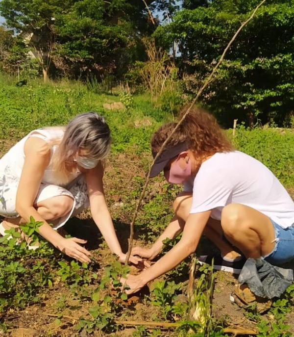 As mudas foram requisitas à Secretaria Municipal do Meio Ambiente (Semam) e a convocação dos voluntários foi feita pelas redes sociais da Rede Ambiental do Piauí (Reapi). O plantio(Imagem:Reprodução)