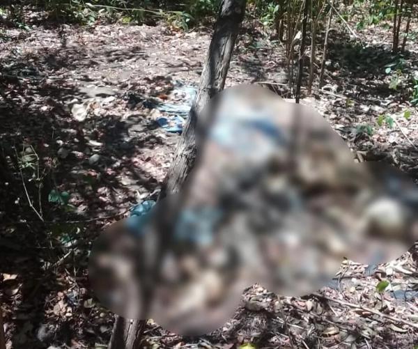 Ossada humana é encontrada em região de mata na zona rural de Teresina.(Imagem:Polícia Militar)