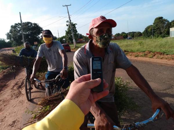 Tradição da colheita do alecrim é mantida em Floriano(Imagem:FlorianoNews)