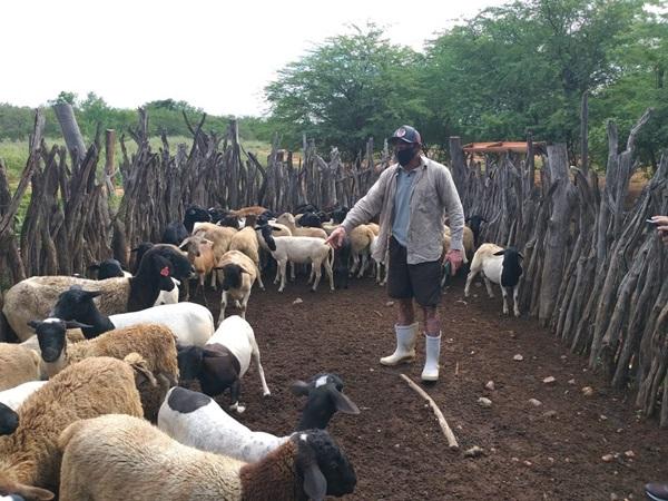 Projeto transformou a vida de 36 mil famílias de agricultores em 89 municípios do semiárido no Piauí(Imagem:Reprodução)