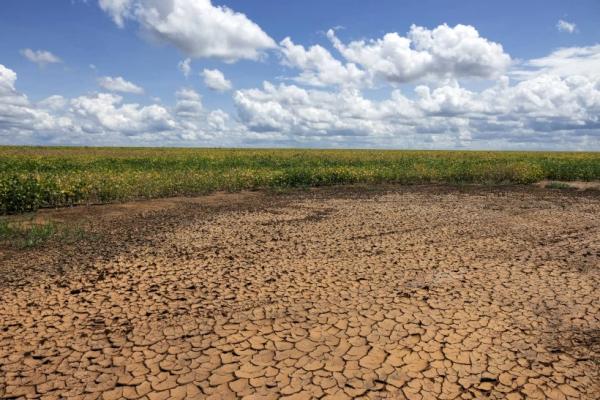 Boletim confirma avanço da seca no Piauí e Semarh lança ferramenta para acompanhar situação dos municípios.(Imagem:Divulgação)