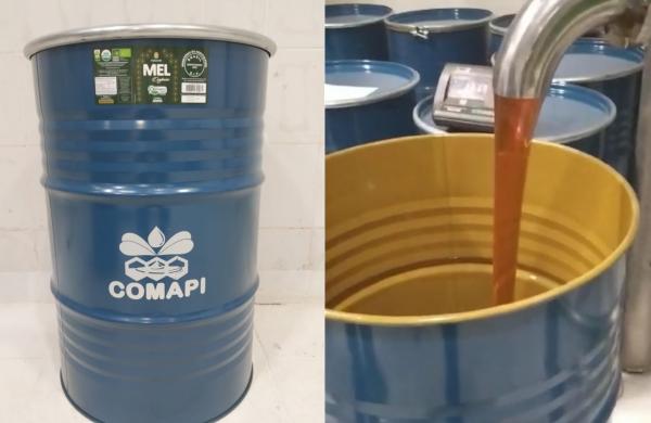 Governo do Piauí anuncia medidas para minimizar efeitos do tarifaço nas empresas exportadoras do estado(Imagem:Comapi)
