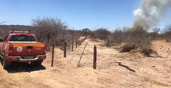 Incêndio atinge área de mais de 200 hectares de vegetação e mata animais em Dirceu Arcoverde, Sul do Piauí.(Imagem:Divulgação)