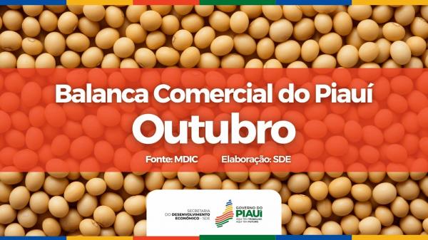 Com superávit de mais de R$ 792,1 milhões, Piauí mantém trajetória de crescimento nas exportações, segundo dados do MDIC.(Imagem:Divulgação)