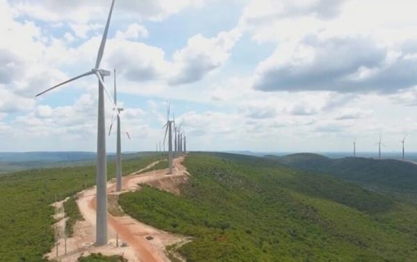 Aneel autoriza unidade eólica que vai gerar 21 mil empregos no Piauí(Imagem:Reprodução)