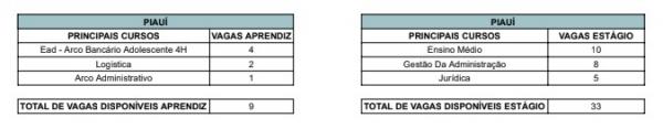 Para se candidatar a uma dessas vagas de estágio ou Jovem Aprendiz o estudante pode acessar o portal do CIEE.(Imagem:Divulgação)